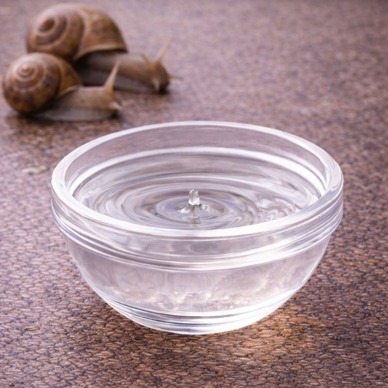Snail Secretion Filtrate – Benefits, Side Effects & Uses