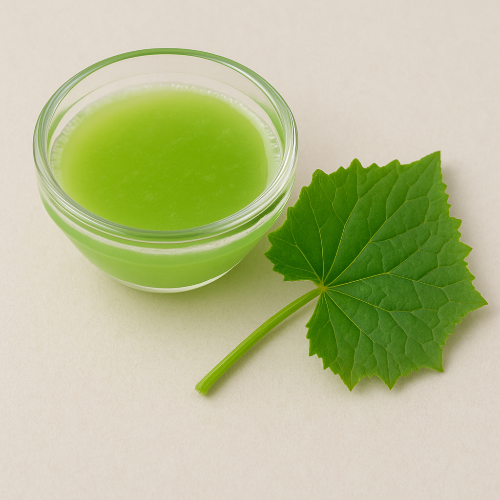 Cucumber Leaf Juice – Benefits, Side Effects & Uses
