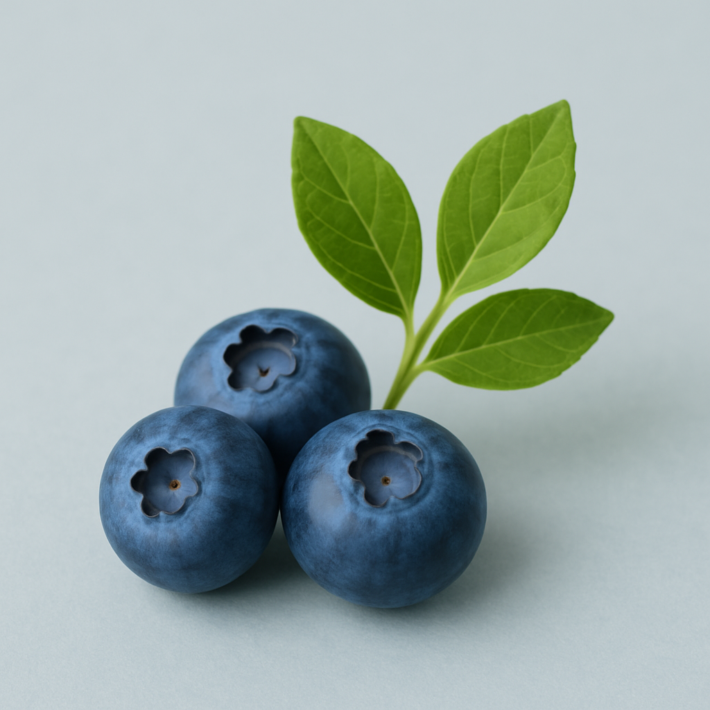 Blueberry Water – Benefits, Side Effects & Uses