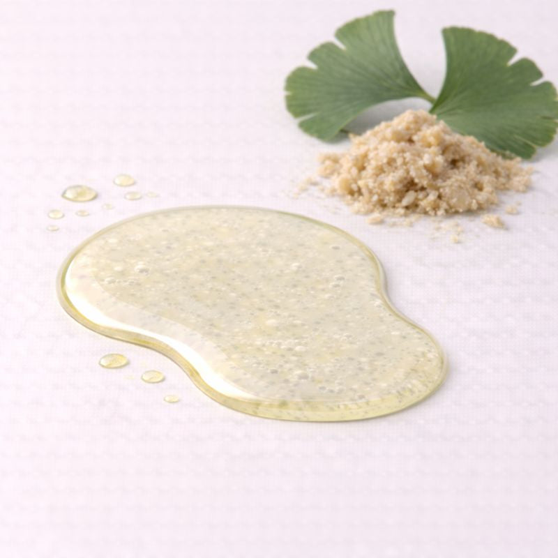 Ginkgo Ferment – Benefits, Side Effects & Uses