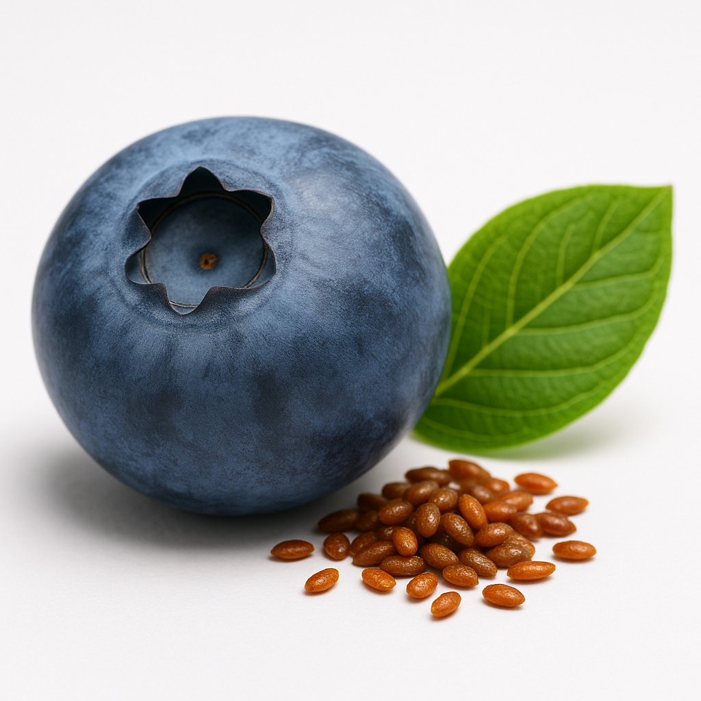 Blueberry Oil – Benefits, Side Effects & Uses