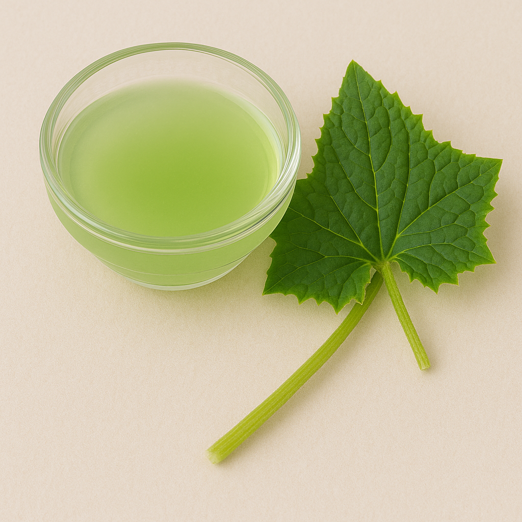 Cucumber Leaf Extract – Benefits, Side Effects & Uses