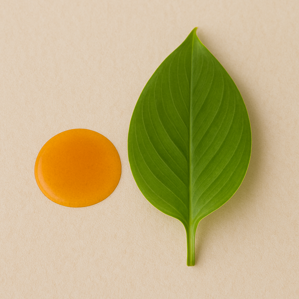 Turmeric Leaf Juice – Benefits, Side Effects & Uses