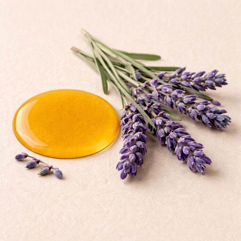 Lavender Oil – Benefits, Side Effects & Uses