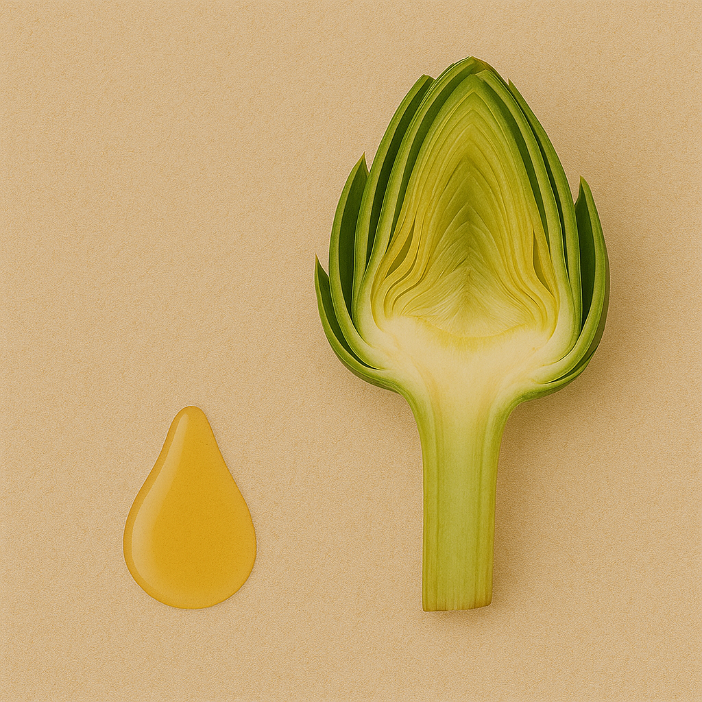 Artichoke Oil – Benefits, Side Effects & Uses