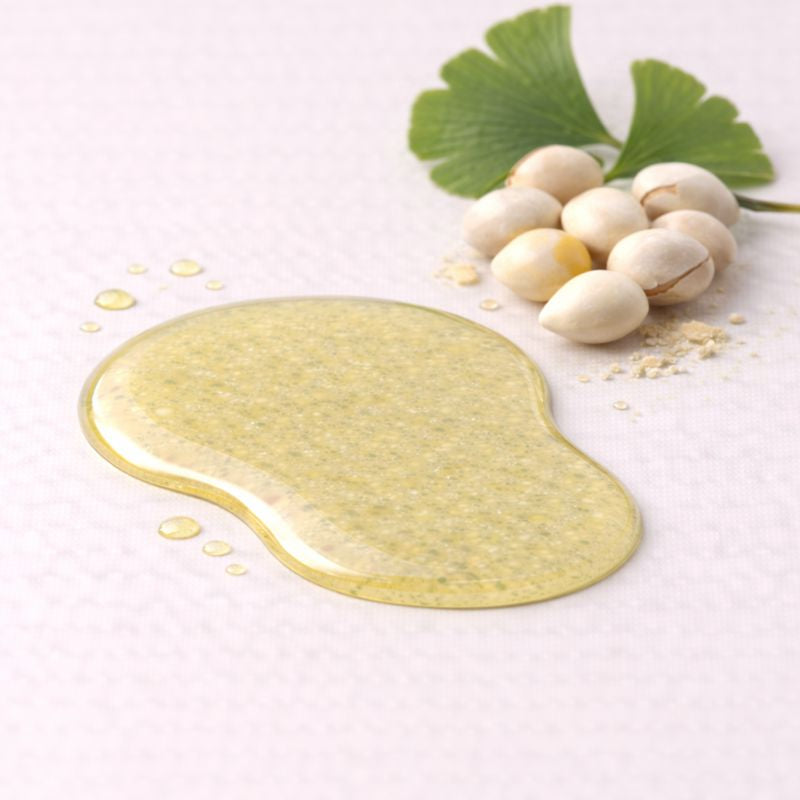 Ginkgo Seed Extract – Benefits, Side Effects & Uses