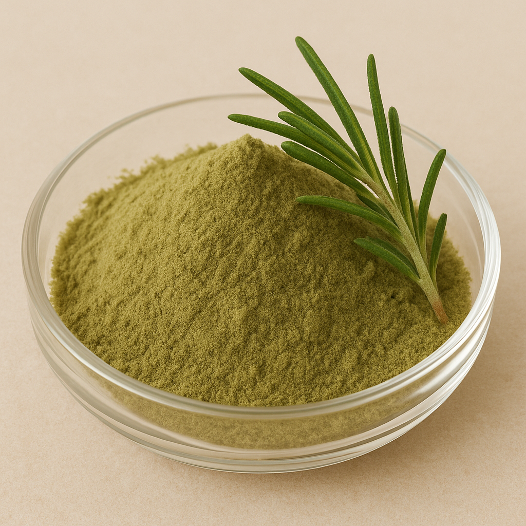 Rosemary Leaf Extract – Benefits, Side Effects & Uses