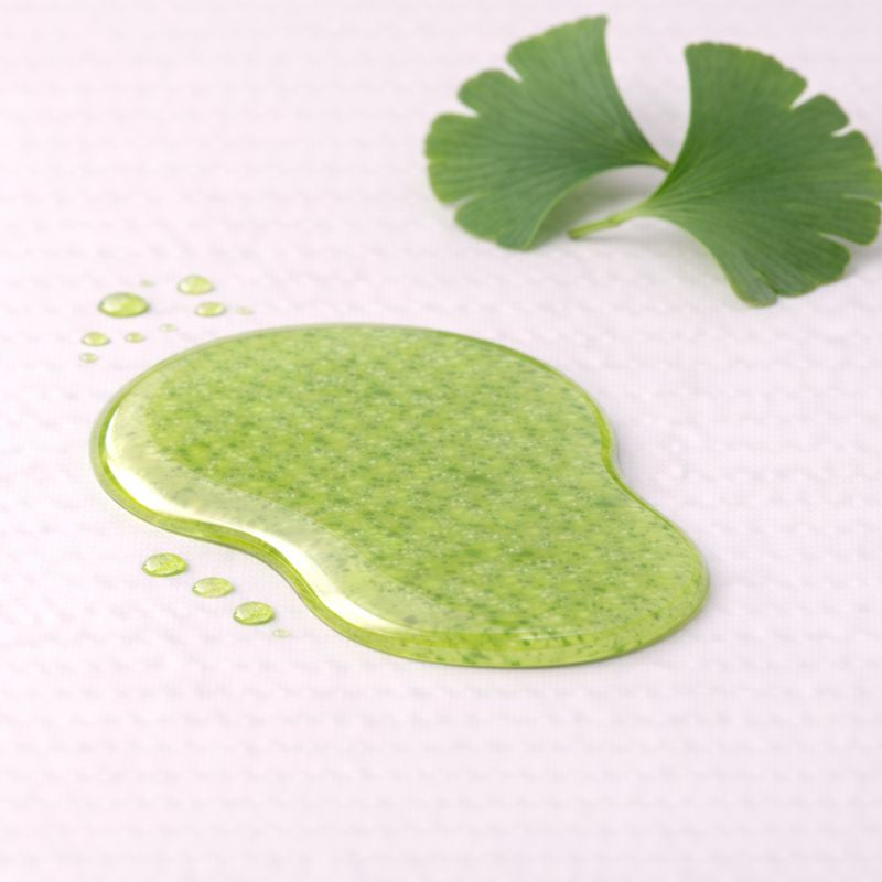 Ginkgo Leaf Juice – Benefits, Side Effects & Uses