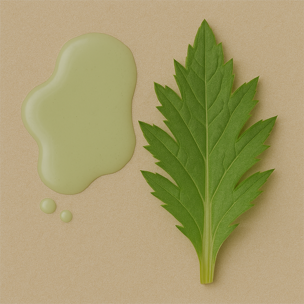 Artichoke Water – Benefits, Side Effects & Uses