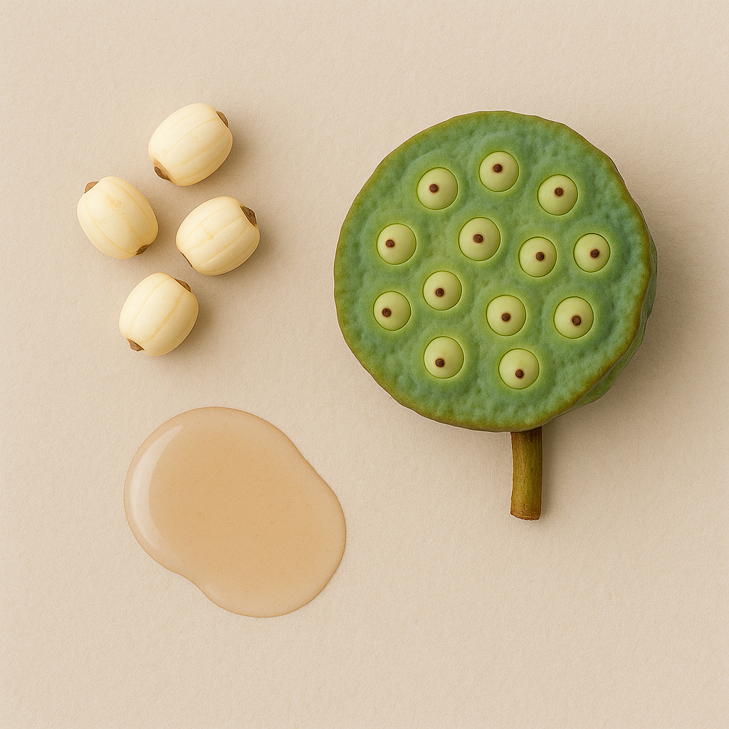 Lotus Seed Extract – Benefits, Side Effects & Uses